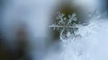 Frio aumenta em várias capitais do Brasil neste fim de semana | Foto: Aaron Burden/Unsplash