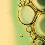 biodiesel
