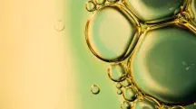 biodiesel