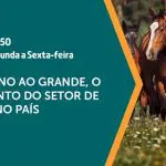 Imagem de divulgação da edição de 13 de agosto de 2024 do programa A Força do Agro, que vai abordar o setor de equinos no Brasil