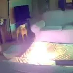 incêndio em residência