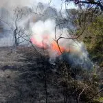 Imagem de funcionário da Defesa Civil durante tentativa de combate a incêndio na mata