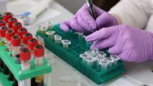 Laboratório estudo