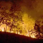 Queimadas na Amazônia tornam o Brasil o 5º país com o ar mais poluído do mundo