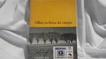 Capa de Olhai os lírios do campo, livro de Erico Veríssimo | Foto: Reprodução/Enjoei