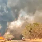 Incêndios atingem o interior de SP desde semana passada | Foto: Divulgação/Defesa Civil