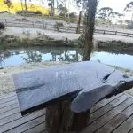 Frio rigoroso atinge a região serrana de Santa Catarina | Mycchel Legnaghi/Divulgação/@saojoaquimonline.com