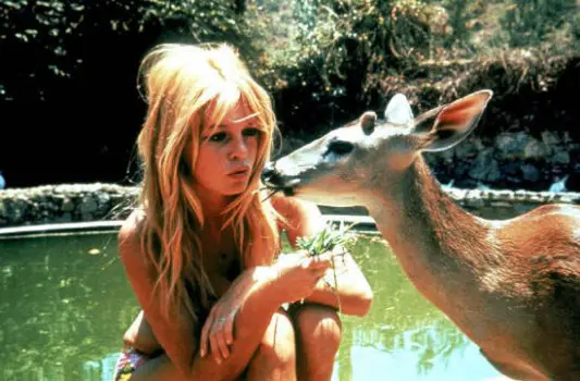 O envolvimento com a causa animal se tornou o centro da vida de Brigitte Bardot | Foto: Juliana Dacoregio/Domínio público