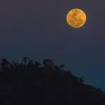 Para capturar imagens do asteroide 2024 PT5, é imprescindível utilizar um telescópio com pelo menos 30 polegadas de diâmetro | Foto: Ricardo Wollfenbüttel/Fotos Públicas