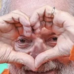 TCU identifica sobrepreço e propina em obras da Refinaria Abreu e Lima