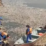 O fenômeno vem sendo observado também em outros reservatórios e rios, como o Rio Pinheiros e o lago do Parque Ibirapuera | Foto: Reprodução/TV Bandeirantes
