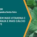 A couve é assunto em A Força do Agro | Foto: Divulgação/Revista Oeste