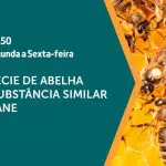As abelhas são assunto em A Força do Agro | Foto: Divulgação/Revista Oeste
