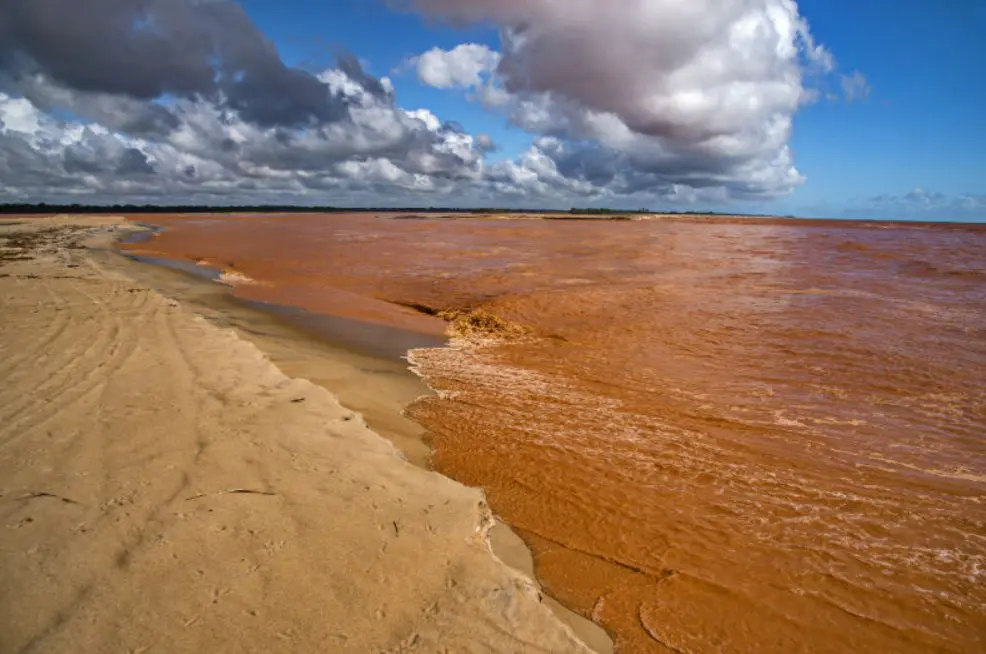 A lama passou a fazer parte da paisagem da praia de Regência, em Linhares | Foto: Leonardo Merçon/Instituto Últimos Refúgios