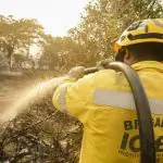 Brigadista do ICMBio, em alusão à matéria que informa a morte de dois irmãos de MG que tentaram controlar incêndio