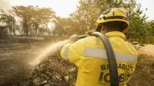 Brigadista do ICMBio, em alusão à matéria que informa a morte de dois irmãos de MG que tentaram controlar incêndio