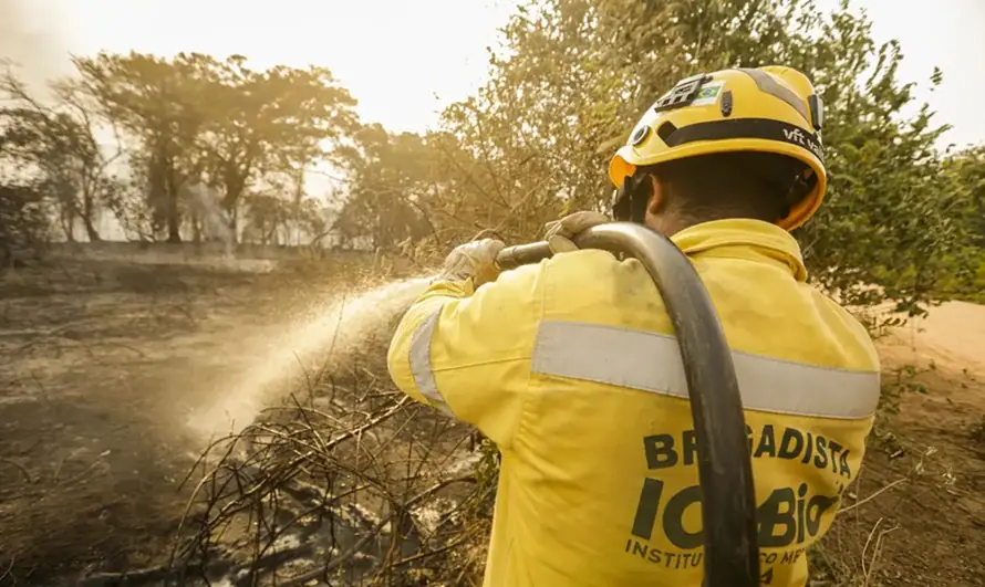 Brigadista do ICMBio, em alusão à matéria que informa a morte de dois irmãos de MG que tentaram controlar incêndio
