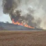 Aproximadamente 15 mil agentes também foram mobilizados, juntamente com um total de 20 aeronaves, reforçando os esforços no enfrentamento aos incêndios | Foto: Divulgação/Defesa Civil