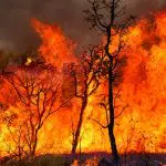 Maioria dos focos de incêndio se concentra na Amazônia | Foto: Fabio Rodrigues-Pozzebom