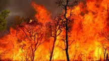 Maioria dos focos de incêndio se concentra na Amazônia | Foto: Fabio Rodrigues-Pozzebom