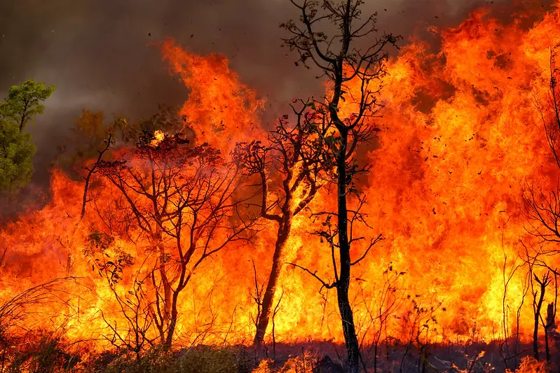 Incêndio Brasília