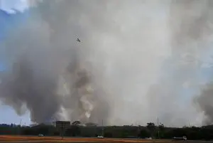 O Parque Nacional de Brasília continua a ser afetado pelas queimadas que tiveram início neste domingo, 15