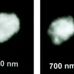 Com um diâmetro de aproximadamente 234 km, Juno é um asteroide do tipo S, o que indica uma alta refletividade | Foto: Reprodução/Wikimedia Commons