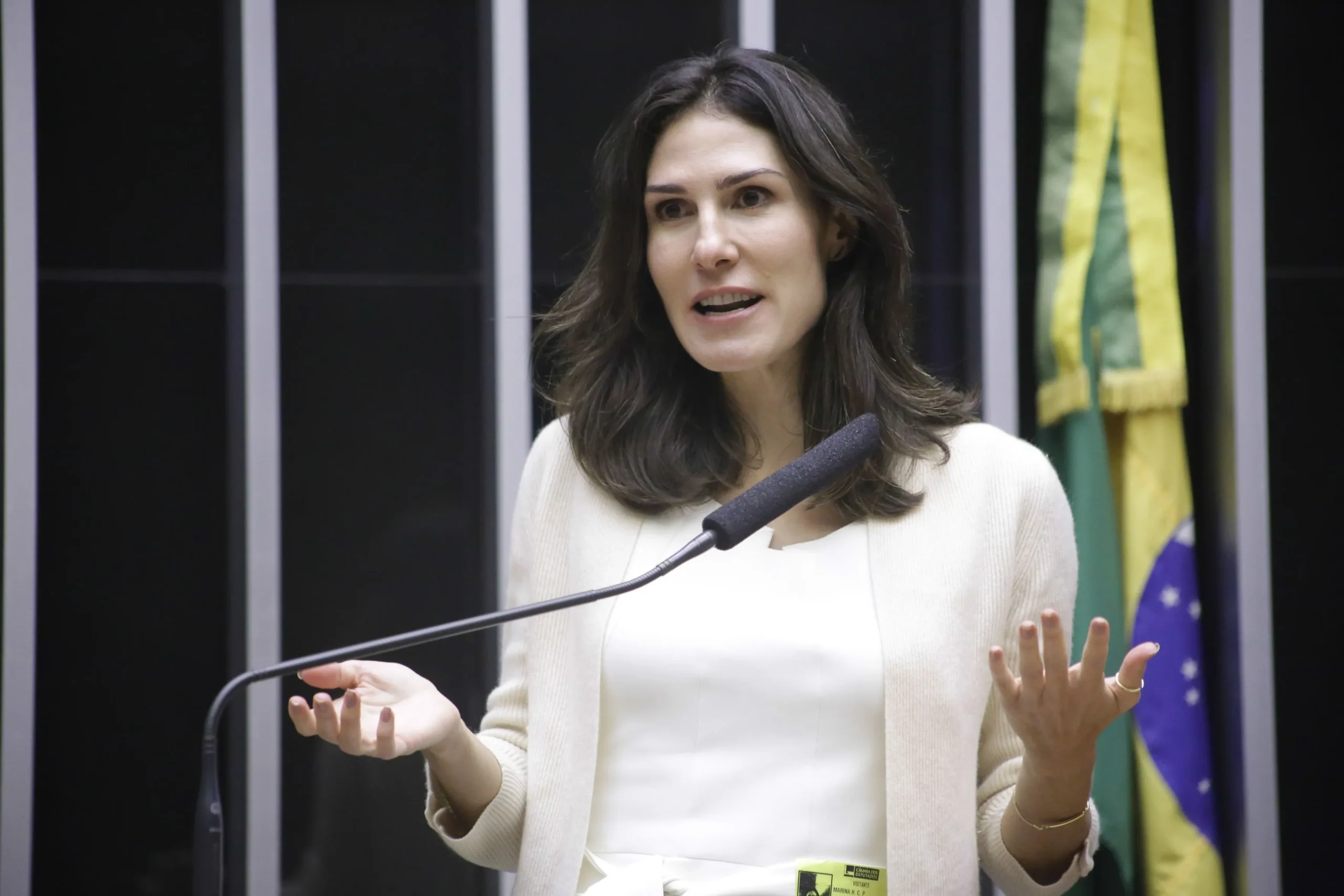 Marina Helena durante sessão na Câmara