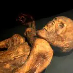 Reconstrução da múmia de Ötzi, conforme mostrado no Museu de Pré-história de Quinson, na França | Foto: Divulgação/Wikimedia
