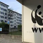Logo da WWF