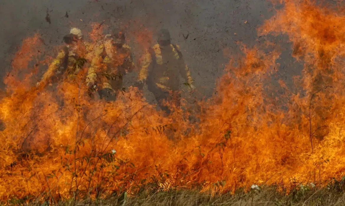 Incêndios tomam conta do Brasil