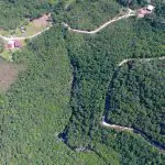 Governo reabre parques em São Paulo