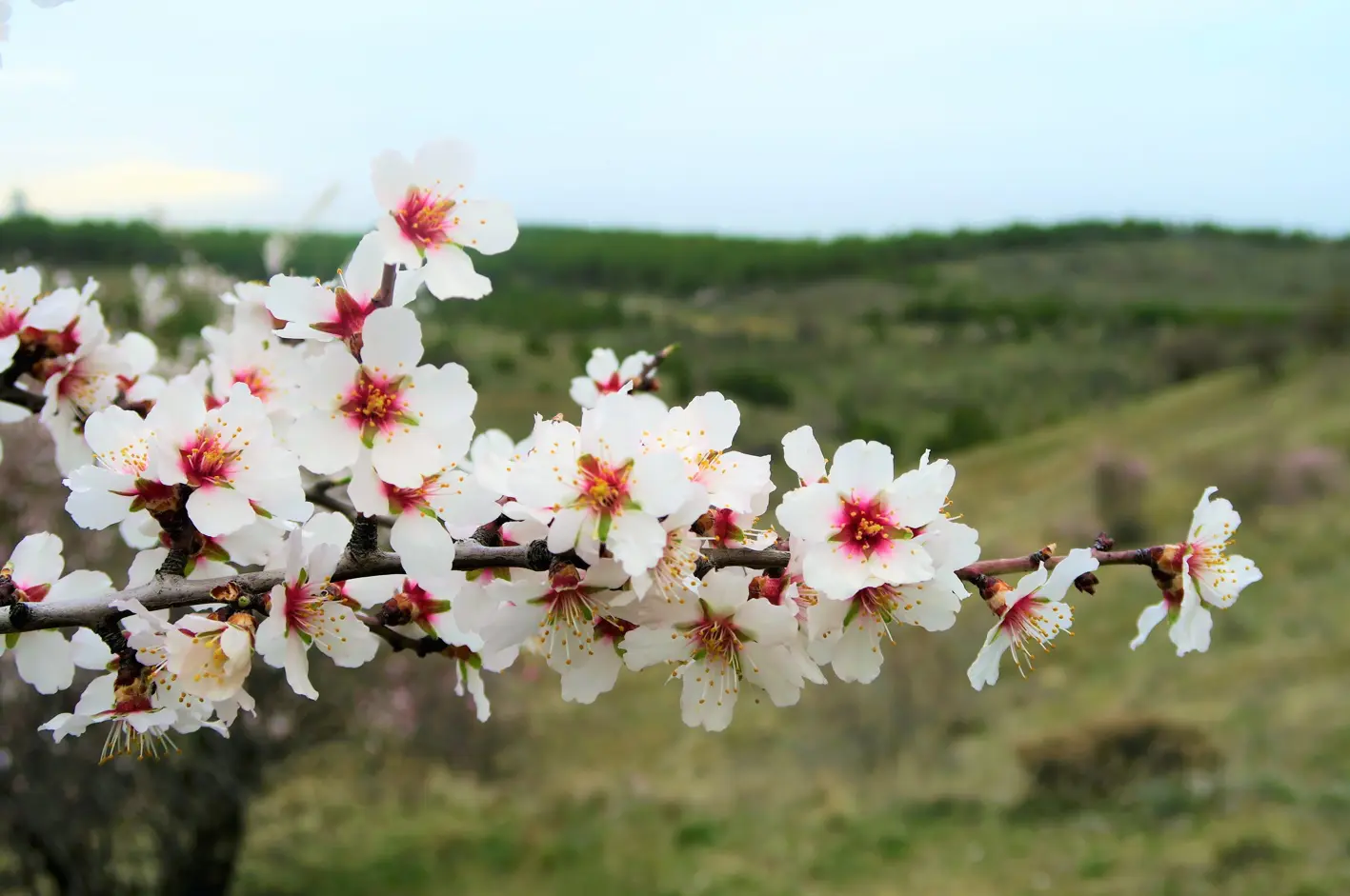 Nesta primavera, espera-se um retorno gradual das chuvas nos Estados de Mato Grosso e Mato Grosso do Sul (Região Centro-Oeste) | Foto: Reprodução/Pexels