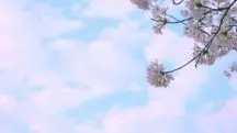 Durante uma fase da primavera, a maior incidência de radiação solar e umidade em declínio resultará em temperaturas consistentemente acima da média | Foto: Reprodução/PixNio