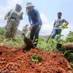 Territórios Sustentáveis avançam no apoio técnico e nos fomentos aos produtores rurais no Xingu, na Amazônia