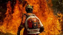 O cultivo de cana de açúcar foi o mais impactado pelas queimadas no interior paulista | Foto: Marcelo Camargo/Agência Brasil