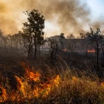 A poluição também afetou as operações aéreas no estado, causando alterações em mais de 40 voos ao longo de um mês | Foto: Reprodução/Fotos Públicas