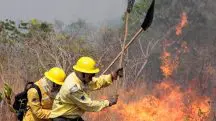 Queimadas no Brasil