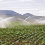 Imagem do campo