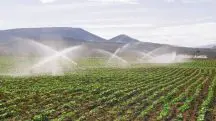 Imagem do campo