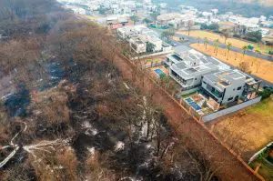 Vista aérea da zona sul da cidade de Ribeirão Preto mostra o resultado dos incêndios florestais que assolaram o Estado de Estado de São Paulo - 25/8/2024 | Foto: Thiago Calil/Agência de Fotografia/Estadão Conteúdo