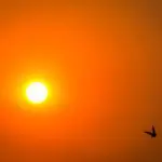 Sol e calor em São Paulo
