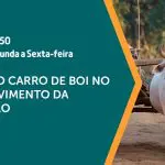 Imagem de divulgação da edição de 6 de setembro de 2024 do programa A Força do Agro. Carro de boi vai ser o tema em destaque