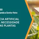 a força do agro 315 - inteligência artificial - 24092024