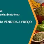 açafrão - a força do agro - 13092024