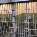 Presídio CV e PCC 25 Estados