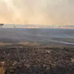 chapada dos veadeiros - icmbio