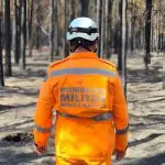 A floresta da Faber-Castell existe há quase quarenta anos e tem um total de 4,5 milhões de árvores | Foto: Reprodução/Corpo de Bombeiros de Minas Gerais