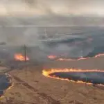 Incêndios somaram mais de 40 em Goiás neste sábado, 7 | Foto: Reprodução/Wendi Muller