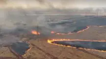 Incêndios somaram mais de 40 em Goiás neste sábado, 7 | Foto: Reprodução/Wendi Muller